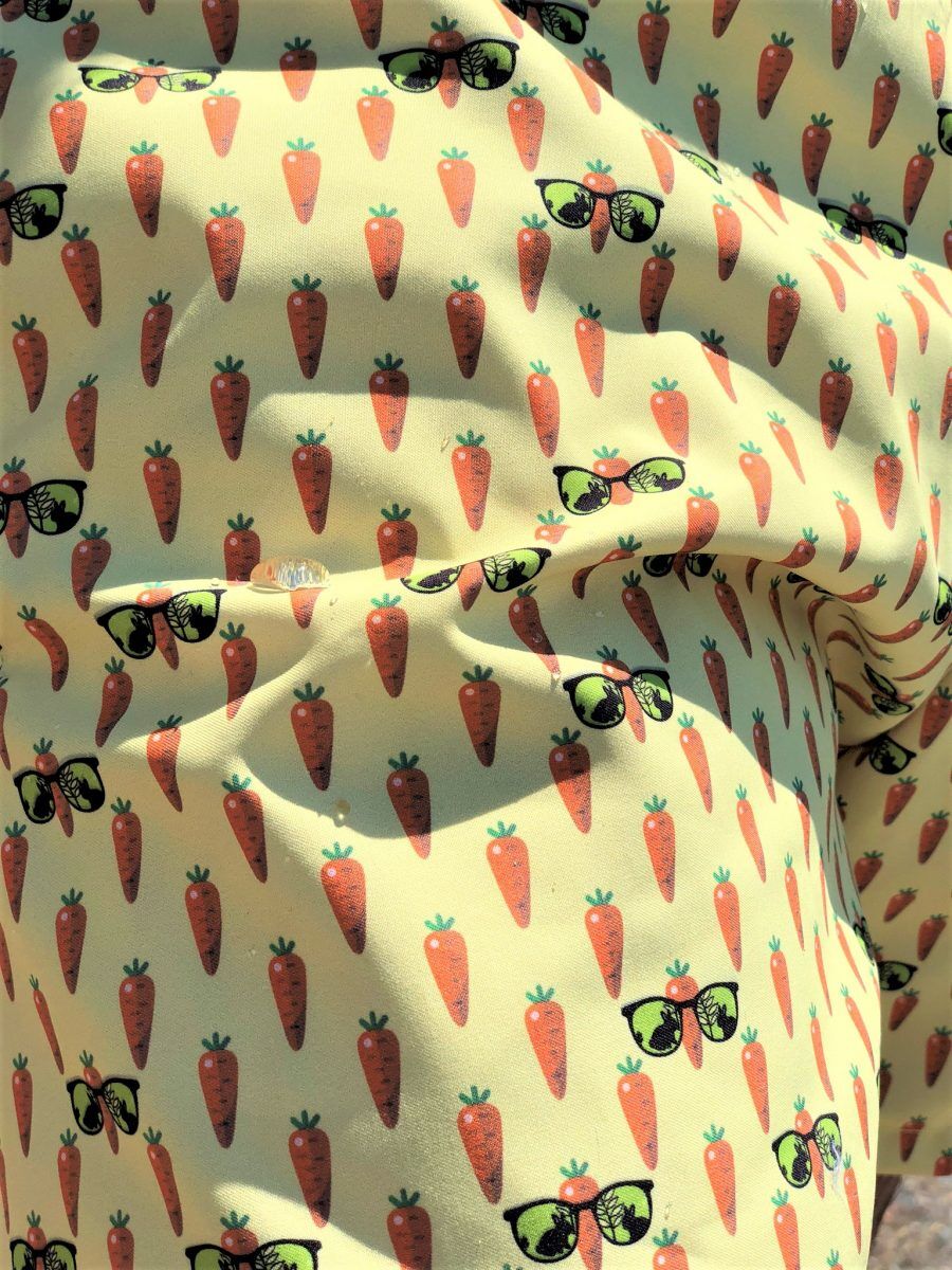 Carrots sunglasses rabbit yellow orange swimwear men